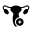gynecology icon